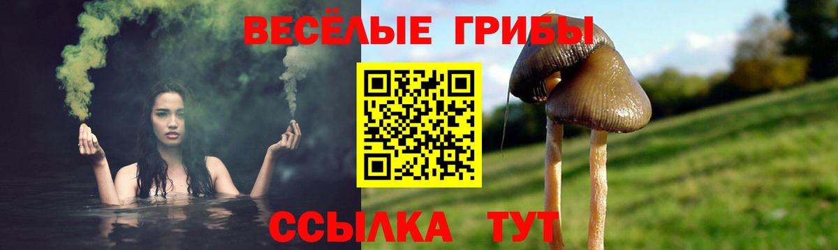 Псилоцибиновые грибы мухоморы Дмитров